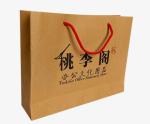 Embossed Printing Paper Bag 250gsm Printed Paper Carrier Bags