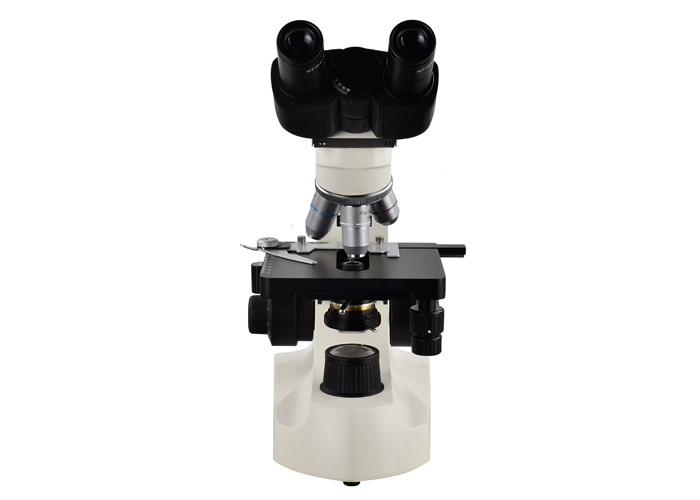 100X Binoculars Laboratory Biological Microscope For Primary School
