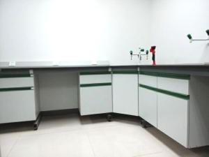 China Grey / Green Pharmaceuticals / Chemistry Bench Biology Lab Furniture L*750*850mm wholesale