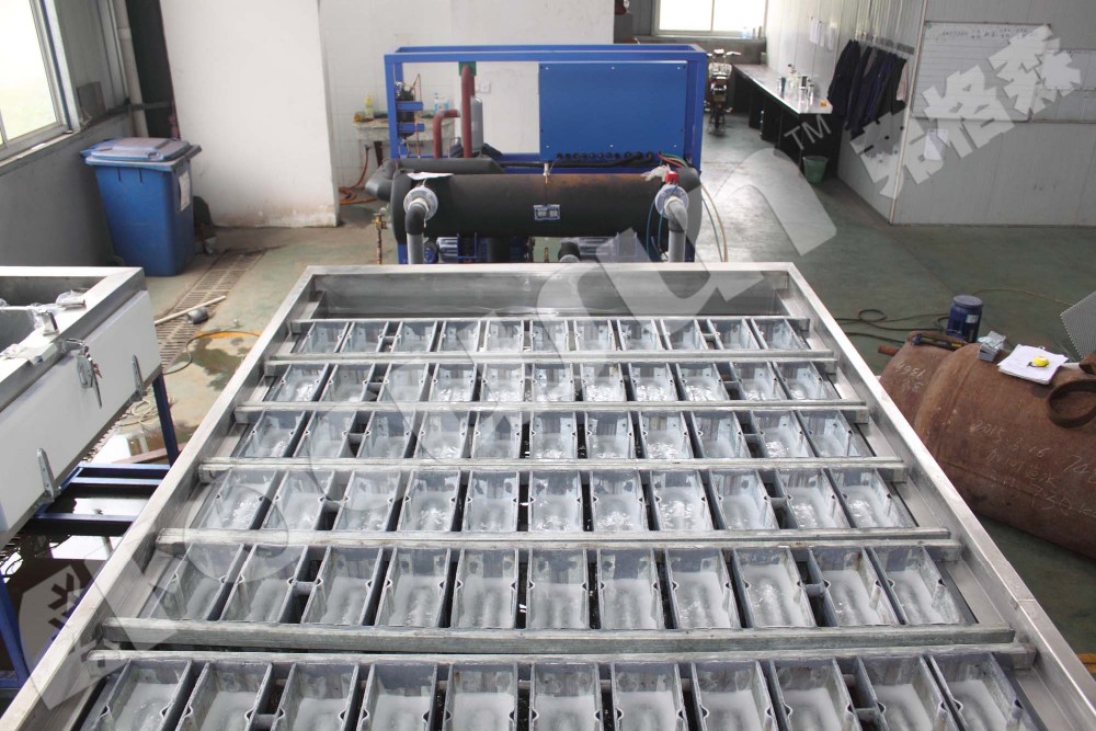 Motor-driven 10 ton FIB-WHB Brine Cooling Block Ice Machine for Water-Cooling System
