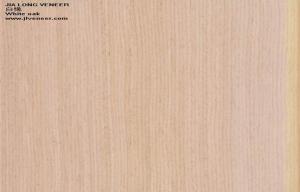 China Oak Reconstituted Wood Veneer wholesale