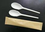 165mm Eco Friendly Restaurant Compostable PLA Spoons