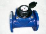 Detachable Woltman Water Meter , Magnetic Industrial Water Meter