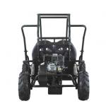 China 200cc Gasoline Gokart Buggy Ground Clearance 100mm And Maximum Speed ≤ 25km/H for sale