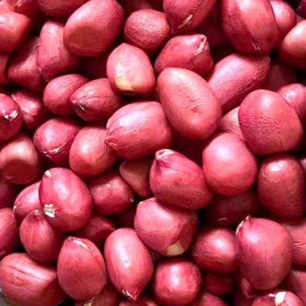 Kernel Sesame Coated Caramel Peanuts Taste Crisp For All Age