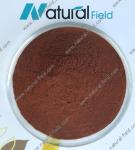 ISO & BV China manufacturer of pygeum africanum bark extract