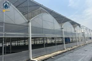 China Multi Span Herb Greenhouse Farming UV Resistant With Hydroponic System wholesale