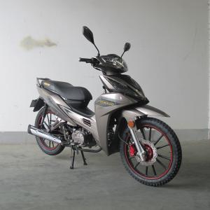 China 6.5KW Front Disc Brake TR135-NG Cub Motorcycle wholesale