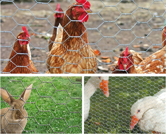 18 Gauge 2m Chicken Mesh Fence 50m Vinyl Coated Poultry Netting