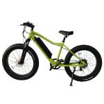 26" Fat Tyre MTB E Bike 48V 500-750W 13AH Battery Electric Bicycle Combo Set