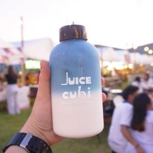 China 400ml 500ml 600ml Plastic Fruit Juice Bottle With Customized Logo wholesale