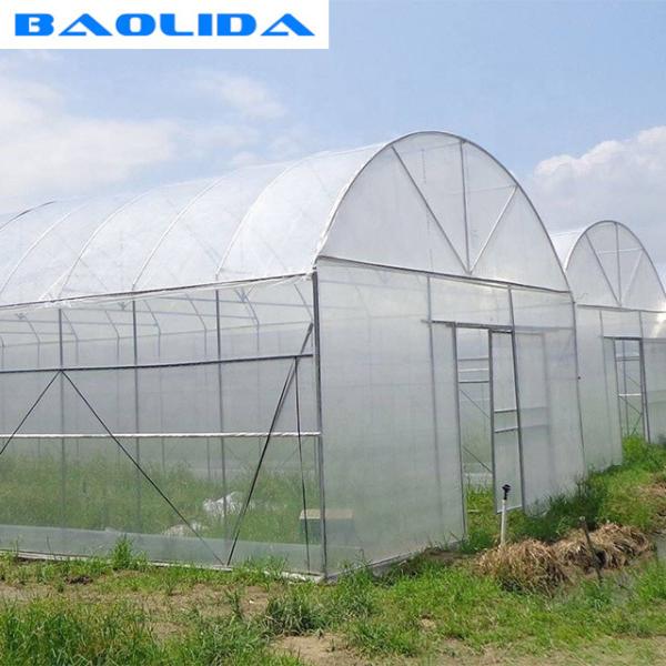 Big Size Plastic Poly Tech Greenhouse / Agricultural Single Span Greenhouse