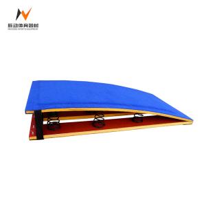China Blue Professional Competition or Training School Gymnastic Jump Spring Board with 9 Springs wholesale
