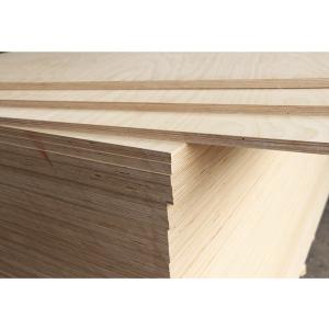 China Plywood modern melamine paper interior Birch first-class E0 wholesale