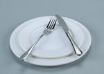Unbreakable Plain White Plastic Melamine Buffet Dinner Plates