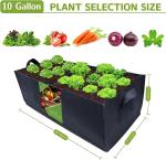 Fabric Raised Garden Bed 6x3x1ft Garden Grow Bed Bags for Growing Herbs, Flowers