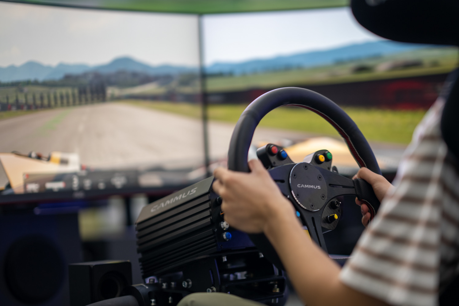 Ergonomic Driving Sim Cockpit For Playstation 4 Pro