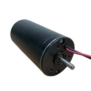 China Faradyi Factory Direct Selling Water Amusement Equipment Motor 350Kv 3950Rpm Water-Proof Brushless Dc Motor wholesale