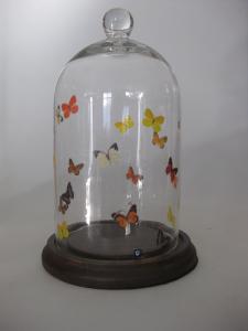 China OEM Handmade Glass dome wholesale