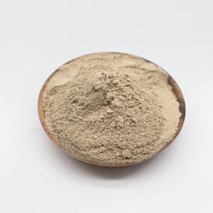 China Powder Form Water Treatment Bio Bacteria With High Concentration wholesale