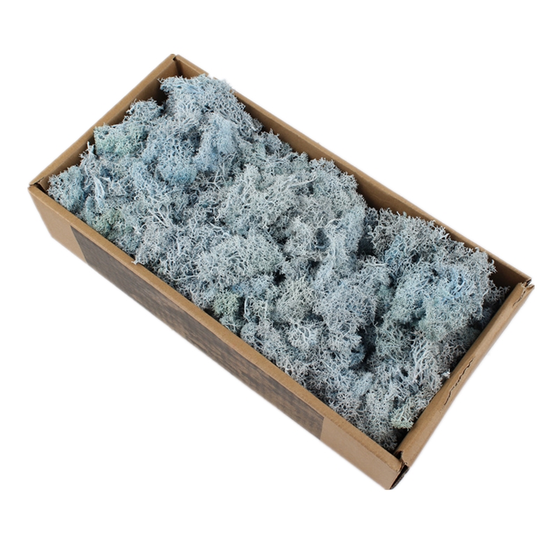 Luxury Home Preserved Natural Moss For All Year Occasions Decoration