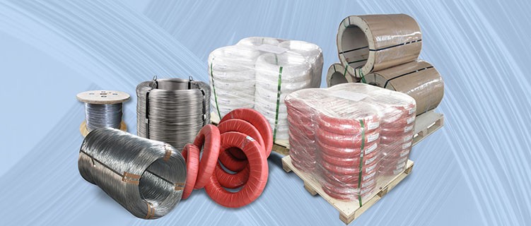TOPONE Stainless Steel Straight Wire 302 0.25mmx30mm