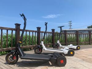 China CE Alu Alloy 25km/h Waterproof Electric Scooter wholesale