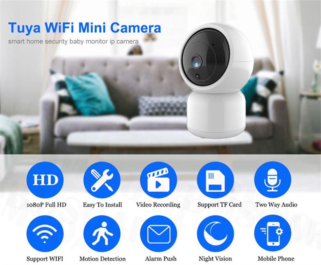 Smart Indoor P/T Camera(TV-308ZD-2MP)
