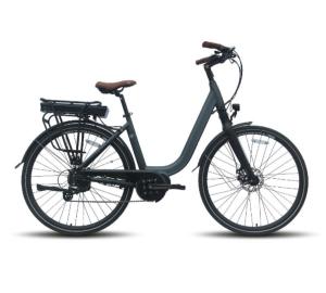 China 2 Wheel 28 Inch Electric Bike 36v 10.4 Ah Lithium Battery GPS 40km/H 50km/H wholesale