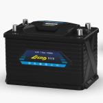 110AH 12 Volt Lifepo4 Battery Dual Purpose EV Grade For Boat