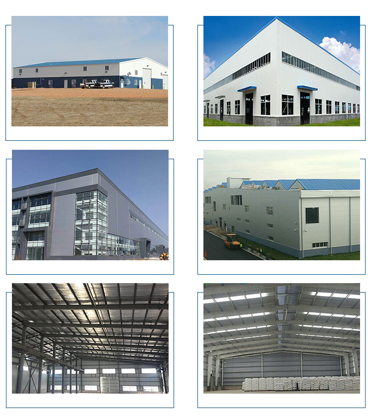 Customized Durable Steel Structure Shed Workshop / Hangar / Hall Buildings