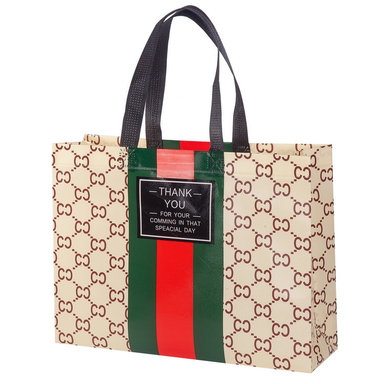 New Design Glossy Nonwoven Bag