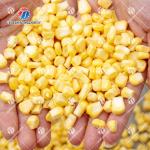 Industrial Stainless Steel Corn Sheller Equipment , Automatic Sweet Corn Seed