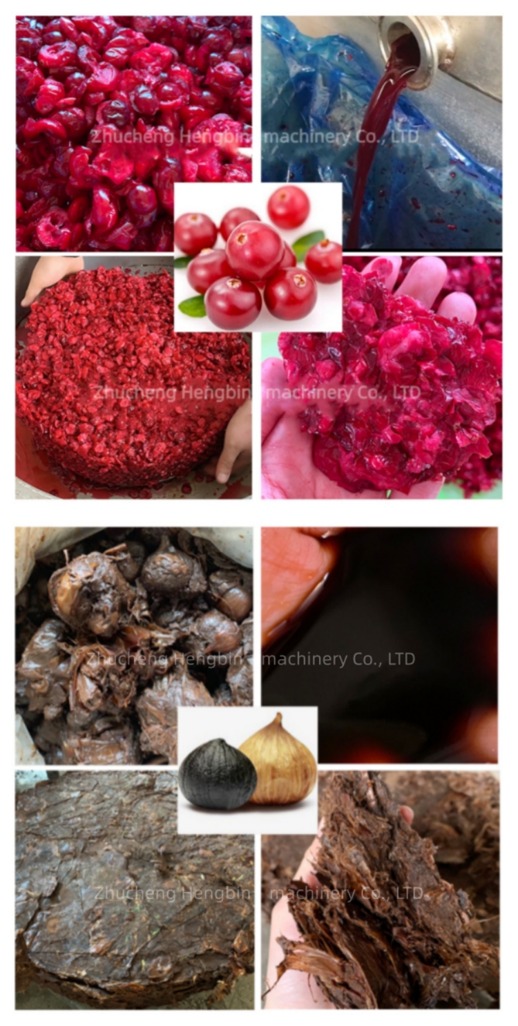 Powerful 3kw Hydraulic Juicer Press for Strawberry Lemon Apple Banana Pear Production