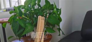 China Cast Acrylic Plexiglass Plastic Sheets 1220x2440mm Weathering Resistance wholesale