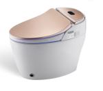 Hidden Suspension Embedded Sanitary Ware Toilet Extended Wall Mounted Water