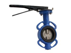 China Double Shaft Ductile Iron Butterfly Valve Flat Bottomed Seat Reliable Sealing wholesale
