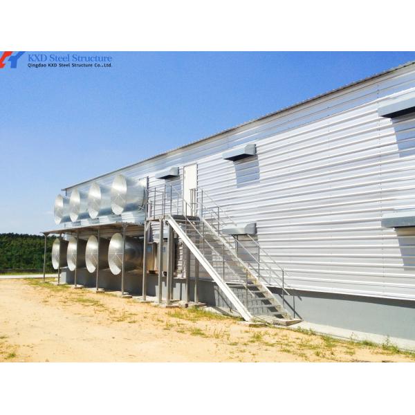 Safe Automatic Poultry House Ventilation System For Broilers / Hens