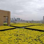 Square Shape Hdpe Plant Tray Roof Terrace Garden Pot Planter for Outdoor