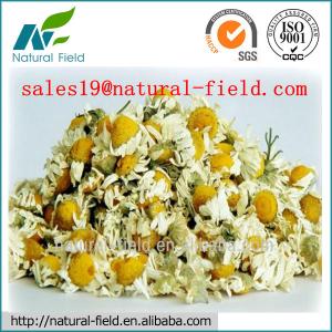 China Apigenin Powder 98% CAS No: 520-36-5 wholesale