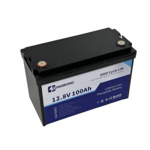 China Heavy Duty LiFePO4 Lithium Battery 12V 100Ah With Integrated BMS wholesale
