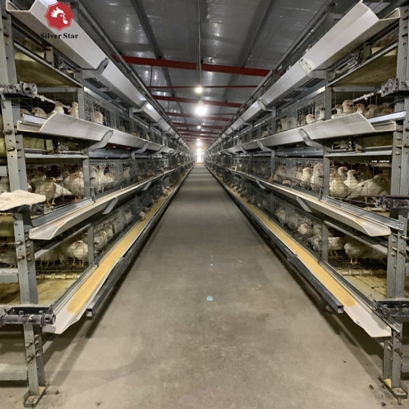 H Type Automatic Poultry Chicken Layer Cage for for kenya Farms