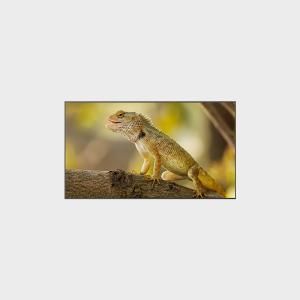 China 98 inch High Brirghtness LCD Display 3840*2160 2000nits wholesale