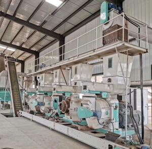 China 5-6t/h Complete Wood Pellet Production Line Sawdust SGS Certification wholesale
