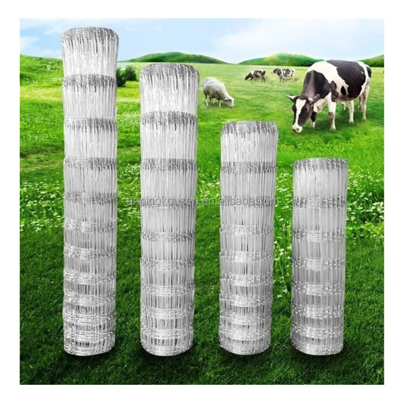 1mx30m Welded Mesh Cages for Chicken Galvanized and Pvc Coated Budget-friendly Choice