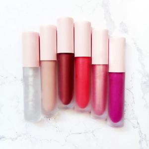 China Easy Coloring Private Label Makeup Vegan Liquid Lipstick wholesale