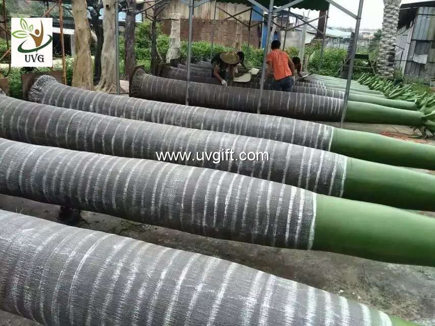 UVG evergreen artificial coconut palm trees with silk leaves for outdoor theme park landscaping PTR059