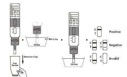 CE Stable Amphetamine AMP Single Drug Urine Test Panel Medical Product