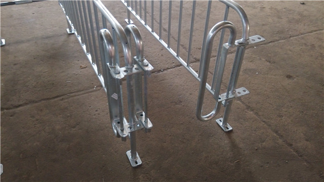 Galvanized Steel Pipe Pig Gestation Crates In Pig Farm House 2.2m*1.0m*0.6m
