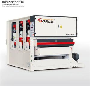 China Three-Head Fast Speed Feeding Polishing Sander, BSGKR-R-P13 wholesale